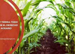 Derecho agrario