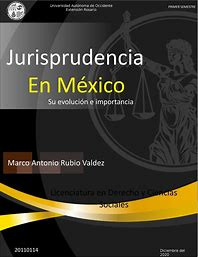 seminario jurisprudencia 2
