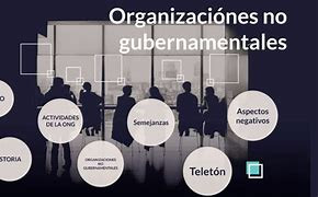 ORGANIZACIÓN Y GESTION DE ORGANISMOS NO GUBERNAMENTALES